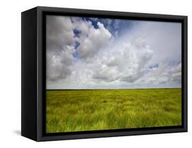 Mad Island Marsh Preserve, Texas: Landscape of the Marsh's Coastal Plains Near Sunset.-Ian Shive-Framed Stretched Canvas