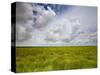 Mad Island Marsh Preserve, Texas: Landscape of the Marsh's Coastal Plains Near Sunset.-Ian Shive-Stretched Canvas