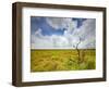 Mad Island Marsh Preserve, Texas: Landscape of the Marsh's Coastal Plains Near Sunset.-Ian Shive-Framed Photographic Print