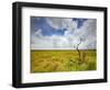 Mad Island Marsh Preserve, Texas: Landscape of the Marsh's Coastal Plains Near Sunset.-Ian Shive-Framed Photographic Print