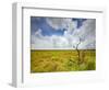 Mad Island Marsh Preserve, Texas: Landscape of the Marsh's Coastal Plains Near Sunset.-Ian Shive-Framed Photographic Print