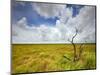 Mad Island Marsh Preserve, Texas: Landscape of the Marsh's Coastal Plains Near Sunset.-Ian Shive-Mounted Photographic Print