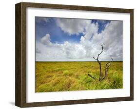 Mad Island Marsh Preserve, Texas: Landscape of the Marsh's Coastal Plains Near Sunset.-Ian Shive-Framed Photographic Print