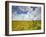 Mad Island Marsh Preserve, Texas: Landscape of the Marsh's Coastal Plains Near Sunset.-Ian Shive-Framed Photographic Print