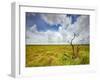 Mad Island Marsh Preserve, Texas: Landscape of the Marsh's Coastal Plains Near Sunset.-Ian Shive-Framed Photographic Print