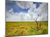 Mad Island Marsh Preserve, Texas: Landscape of the Marsh's Coastal Plains Near Sunset.-Ian Shive-Mounted Photographic Print