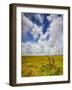 Mad Island Marsh Preserve, Texas: Landscape of the Marsh's Coastal Plains Near Sunset.-Ian Shive-Framed Photographic Print