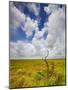 Mad Island Marsh Preserve, Texas: Landscape of the Marsh's Coastal Plains Near Sunset.-Ian Shive-Mounted Photographic Print