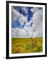 Mad Island Marsh Preserve, Texas: Landscape of the Marsh's Coastal Plains Near Sunset.-Ian Shive-Framed Photographic Print