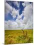 Mad Island Marsh Preserve, Texas: Landscape of the Marsh's Coastal Plains Near Sunset.-Ian Shive-Mounted Photographic Print