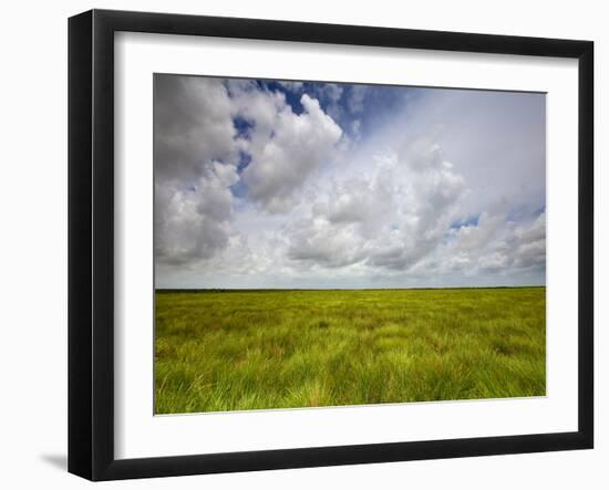 Mad Island Marsh Preserve, Texas: Landscape of the Marsh's Coastal Plains Near Sunset.-Ian Shive-Framed Photographic Print