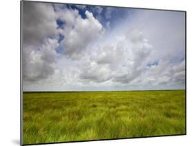 Mad Island Marsh Preserve, Texas: Landscape of the Marsh's Coastal Plains Near Sunset.-Ian Shive-Mounted Photographic Print