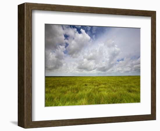 Mad Island Marsh Preserve, Texas: Landscape of the Marsh's Coastal Plains Near Sunset.-Ian Shive-Framed Photographic Print