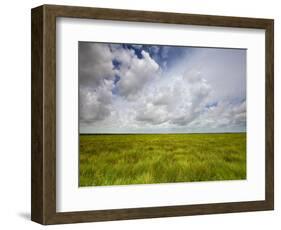 Mad Island Marsh Preserve, Texas: Landscape of the Marsh's Coastal Plains Near Sunset.-Ian Shive-Framed Photographic Print