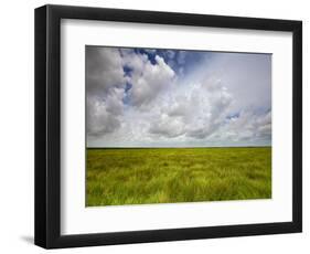 Mad Island Marsh Preserve, Texas: Landscape of the Marsh's Coastal Plains Near Sunset.-Ian Shive-Framed Photographic Print