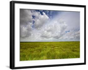 Mad Island Marsh Preserve, Texas: Landscape of the Marsh's Coastal Plains Near Sunset.-Ian Shive-Framed Photographic Print