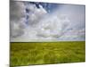 Mad Island Marsh Preserve, Texas: Landscape of the Marsh's Coastal Plains Near Sunset.-Ian Shive-Mounted Photographic Print