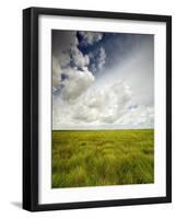 Mad Island Marsh Preserve, Texas: Landscape of the Marsh's Coastal Plains Near Sunset.-Ian Shive-Framed Photographic Print