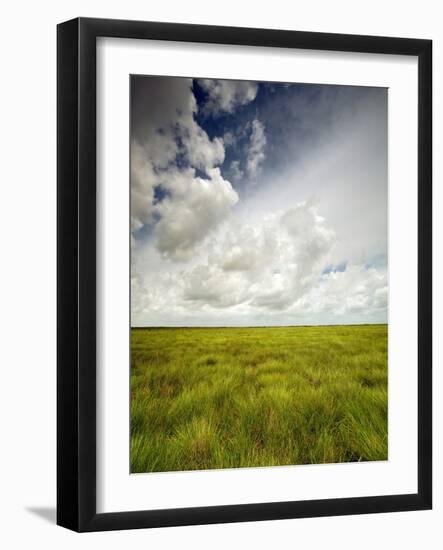 Mad Island Marsh Preserve, Texas: Landscape of the Marsh's Coastal Plains Near Sunset.-Ian Shive-Framed Photographic Print