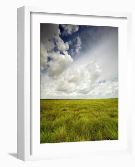 Mad Island Marsh Preserve, Texas: Landscape of the Marsh's Coastal Plains Near Sunset.-Ian Shive-Framed Photographic Print