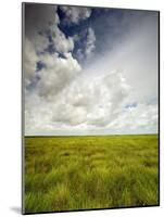 Mad Island Marsh Preserve, Texas: Landscape of the Marsh's Coastal Plains Near Sunset.-Ian Shive-Mounted Photographic Print