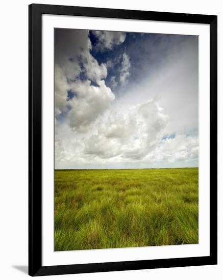 Mad Island Marsh Preserve, Texas: Landscape of the Marsh's Coastal Plains Near Sunset.-Ian Shive-Framed Photographic Print