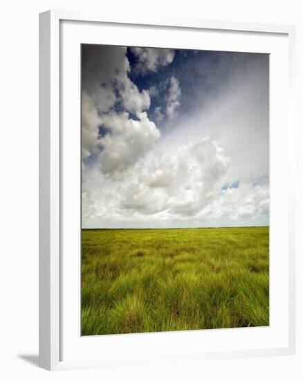 Mad Island Marsh Preserve, Texas: Landscape of the Marsh's Coastal Plains Near Sunset.-Ian Shive-Framed Photographic Print