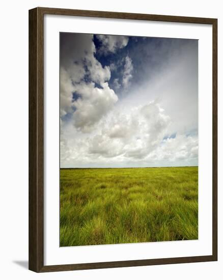 Mad Island Marsh Preserve, Texas: Landscape of the Marsh's Coastal Plains Near Sunset.-Ian Shive-Framed Photographic Print