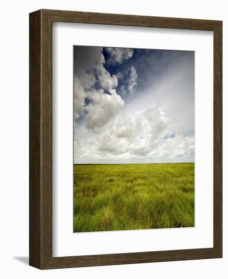 Mad Island Marsh Preserve, Texas: Landscape of the Marsh's Coastal Plains Near Sunset.-Ian Shive-Framed Photographic Print