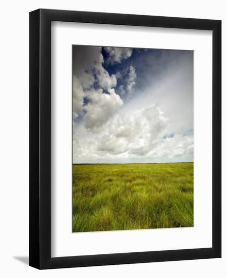 Mad Island Marsh Preserve, Texas: Landscape of the Marsh's Coastal Plains Near Sunset.-Ian Shive-Framed Photographic Print