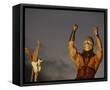 Framed Canvas