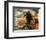 Mad Max: Fury Road-null-Framed Photo