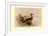 Madagascan Teal-Henrick Gronvold-Framed Premium Giclee Print