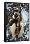 Madagascar, Coquerel's Sifaka-Roy Toft-Framed Stretched Canvas