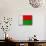 Madagascar Flag Design with Wood Patterning - Flags of the World Series-Philippe Hugonnard-Stretched Canvas displayed on a wall