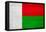 Madagascar Flag Design with Wood Patterning - Flags of the World Series-Philippe Hugonnard-Framed Stretched Canvas