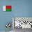 Madagascar Flag Design with Wood Patterning - Flags of the World Series-Philippe Hugonnard-Stretched Canvas displayed on a wall