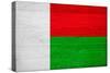 Madagascar Flag Design with Wood Patterning - Flags of the World Series-Philippe Hugonnard-Stretched Canvas