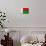 Madagascar Flag Design with Wood Patterning - Flags of the World Series-Philippe Hugonnard-Art Print displayed on a wall