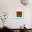 Madagascar Flag Design with Wood Patterning - Flags of the World Series-Philippe Hugonnard-Framed Art Print displayed on a wall