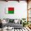 Madagascar Flag Design with Wood Patterning - Flags of the World Series-Philippe Hugonnard-Art Print displayed on a wall