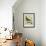 Madagascar Green Pigeon-Georges-Louis Buffon-Framed Giclee Print displayed on a wall