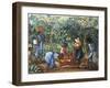 Madagascar, Harvesting Coffee Beans, 20th Century-null-Framed Giclee Print