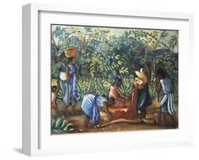 Madagascar, Harvesting Coffee Beans, 20th Century-null-Framed Giclee Print