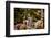 Madagascar Lemurs, Johannesburg, South Africa, Africa-Laura Grier-Framed Photographic Print