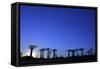 Madagascar, Morondava, Baobab Alley, Adansonia Grandidieri at Sunset-Anthony Asael-Framed Stretched Canvas