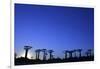 Madagascar, Morondava, Baobab Alley, Adansonia Grandidieri at Sunset-Anthony Asael-Framed Photographic Print