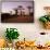 Madagascar, Morondava, Baobab Alley, Adansonia Grandidieri at Sunset-Anthony Asael-Framed Stretched Canvas displayed on a wall