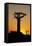 Madagascar, Morondava, Baobab Alley, Adansonia Grandidieri at Sunset-Anthony Asael-Framed Stretched Canvas