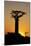 Madagascar, Morondava, Baobab Alley, Adansonia Grandidieri at Sunset-Anthony Asael-Mounted Photographic Print